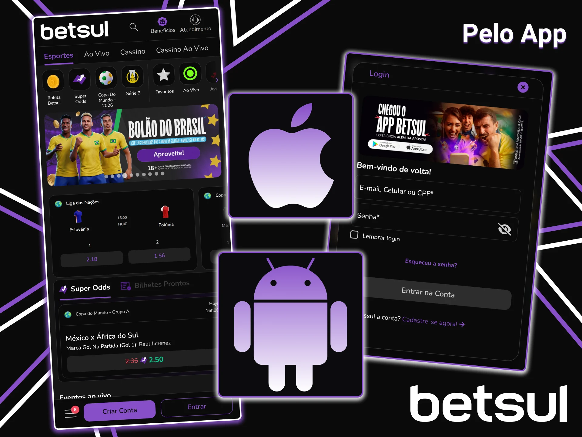 Insira suas credenciais para fazer login pelo aplicativo Betsul.